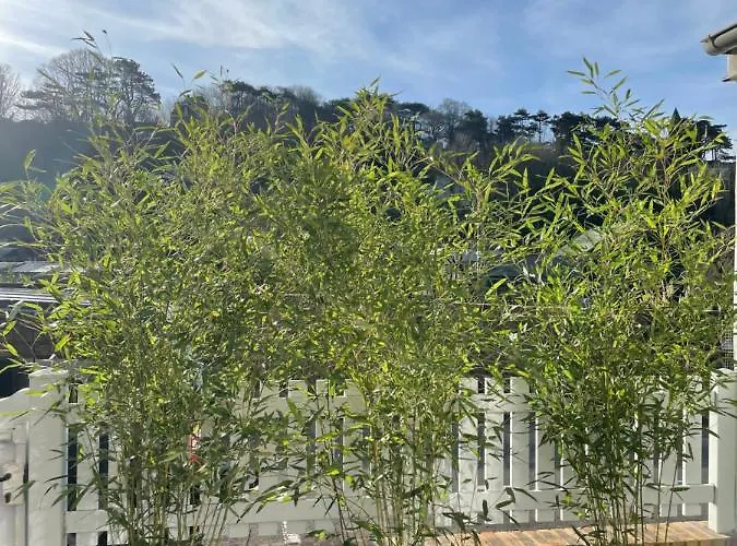 Etretat: Agreable Maison De